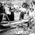 The California Gold Rush